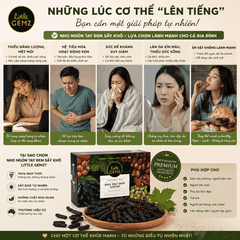 Nho Ngón Tay khô nguyên cành Little Gemz Sweet Sapphire Dried Grapes Clusters 1kg