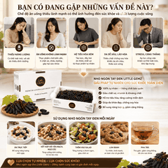 Nho Ngón Tay khô nguyên cành Little Gemz Sweet Sapphire Dried Grapes Clusterss 3kg