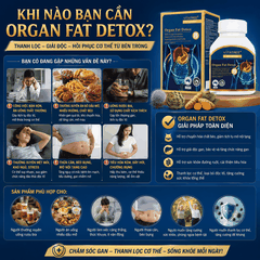 Thải độc mỡ nội tạng vitatree organ fat detox thanh lọc cơ thể hộp 60 viên