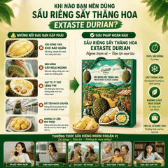 Sầu riêng sấy thăng hoa Freeze Dried Extaste Durian 100g Ready to eat Snack