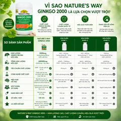 Bổ não ginkgo biloba nature's way 2000mg giúp tăng tuần hoàn máu não, giảm đau đầu 120 viên/hộp