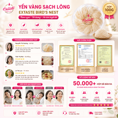 Yến vàng sạch lông extaste bird's nest thơm ngon bổ dưỡng hộp 100g