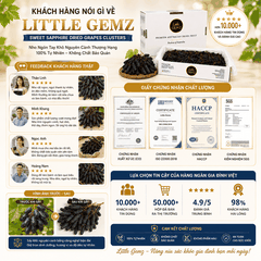 Nho Ngón Tay khô nguyên cành Little Gemz Sweet Sapphire Dried Grapes Clusterss 3kg