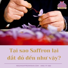  Nhụy hoa nghệ tây Tashrifat Saffron hỗ trợ làm đẹp và tăng cường sức khỏe 1g