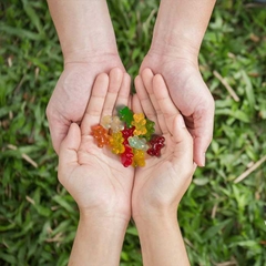 Kẹo dẻo gấu trái cây hữu cơ Black Forest Gummy Bears thùng 65 gói