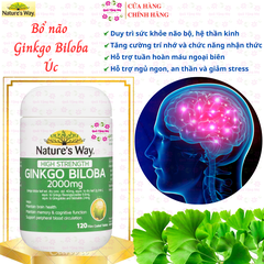 Ginkgo biloba nature's way 2000mg bổ não, tăng cường trí nhớ hộp 120 viên