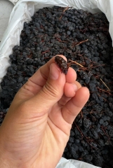 Nho khô nguyên cành Adora st Food Dried Grapes Flame Australian thùng 4kg