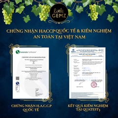 Nho khô trên cành Úc Little Gemz Sweet Globe Dried Table Grape Cluster 250g