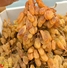 Nho khô nguyên cành Adora st Food Dried Grapes Cluster Thompson 4kg A
