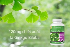 Bổ não Trunature Ginkgo Biloba 120mg tăng cường tuần hoàn máu não 340 viên