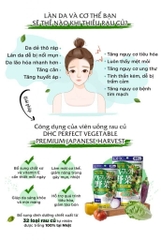 Rau củ tổng hợp DHC Nhật perfect vegetable 90 ngày hỗ trợ tiêu hóa 360 viên