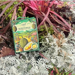 Sầu riêng sấy thăng hoa Freeze Dried Extaste Durian 100g Ready to eat Snack