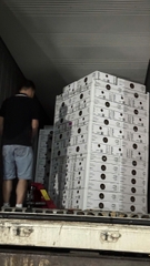 Nho khô nguyên cành Little Gemz Sweet Sapphire Table Grapes 7kg
