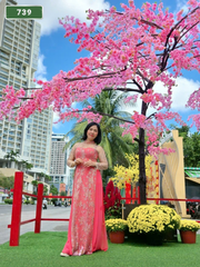 Số 739: MASSAGE TẬN NƠI NHA TRANG (tại nhà, căn hộ, khách sạn,...)