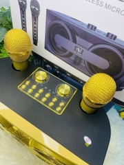 LOA KARAOKE BLUETOOTH YS-206 TẶNG KÈM 2 MICRO KHÔNG DÂY CHÍNH HÃNG CỰC HAY (80)
