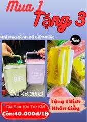 BÌNH ĐÁ BIBI HOT TREND 1L2 TẶNG KÈM CỌ RỬA LY 5k (3)