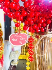 LIỂN TREO DECOR TẾT 18 CHI TIẾT (1)
