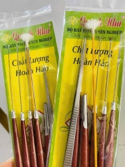 Dụng Cụ Lấy Ráy Tai Thân Gỗ 7 Món (2)