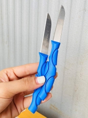 Dao Gọt Trái Cây Cắt Tỉa Thái Đồ Ăn Siêu Bén (0.5)