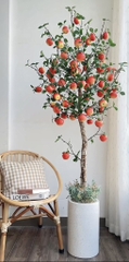 CÀNH TÁO LỚN TRANG TRÍ DECOR (3)