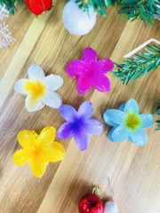 KẸP TÓC HOÁ SỨ KUTE (1)