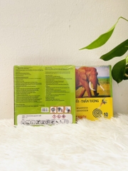 HỘP NHANG MUỖI KHOANH CON VOI ÍT KHÓI (1)
