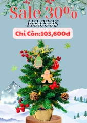 Cây Thông Noel 60cm Kèm Phụ Kiện Đèn Led Mẫu Mới (14)