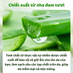 TẨY TẾ BÀO CHẾT DA BODY GINBi (2) '