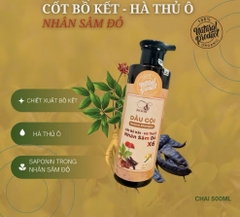 COMBO CẶP GỘI XẢ SÂM DR HI X6 C.HÃNG (15) '