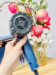 MÁY KHÒ NHIỆT 2000W TALON LOẠI 1 (30)