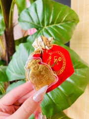 THẦN TÀI MẠ VÀNG TÚI NHUNG LOẠI 1 CÓ TẶNG KÈM THỎI VÀNG PHA LÊ CHIÊU TÀI LỘC PHONG THUỶ (2)