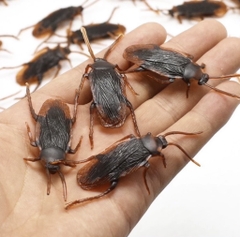 COMBO 2 CON GIÁN GIẢ, TIỂU CƯỜNG BẰNG NHỰA (K.Ckhau)