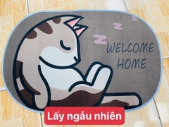 Thảm Lót Chân OVAL Bầu (1)