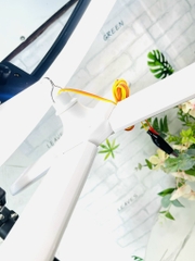 BÓNG ĐÈN 4 CÁNH 60W SÀI ĐIỆN 12V (8)