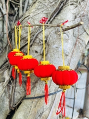 LỒNG ĐÈN TRÁI BÍ ĐỎ DECOR TẾT (0.5)