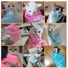 TÚI LƯỚI TẮM VỆ SINH MÈO (3)