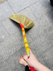 CÂY CHỔI QUÉT NHÀ XỊN HÀNG CTY (2) '