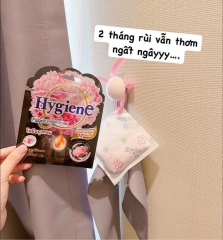 TÚI TREO THƠM HYGIENE HÀNG THÁI (3)