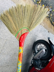 CÂY CHỔI QUÉT NHÀ XỊN HÀNG CTY (2) '