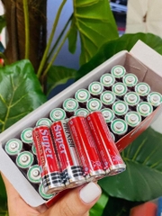 Cặp Pin AA xịn Maxcel (1)