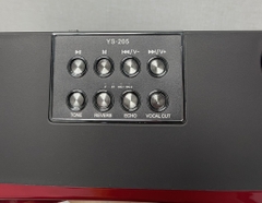 LOA KARAOKE BLUETOOTH YS-205 TẶNG KÈM 2 MICRO KHÔNG DÂY CHÍNH HÃNG CỰC HAY (60)