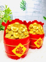 Túi Vàng Tiết Kiệm Cho Bé Bằng Nhựa (10)