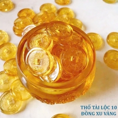 HŨ THỐ TÀI LỘC 10 ĐỒNG XU PHA LÊ VÀNG PHONG THUỶ (9)