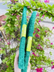 CƯỚC RỬA CHÉN XANH NHÁM SAMRAN LỚN (1)
