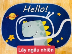 Thảm Lót Chân OVAL Bầu (1)