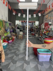 CÂY LĂN BỤI CÁN DÀI SIZE 24cm (4)