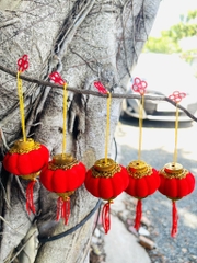 LỒNG ĐÈN TRÁI BÍ ĐỎ DECOR TẾT (0.5)