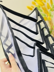 TÚI ĐỰNG ĐỒ LÓT 9 NGĂN 32x17x25cm (2)