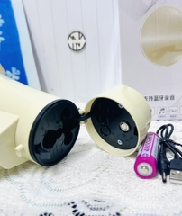 LOA PHÓNG THANH HM135RI