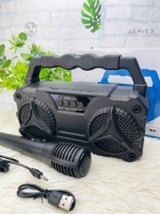 LOA KARAOKE D103 TẶNG KÈM MICRO CÓ DÂY NHIỀU MÀU (12)